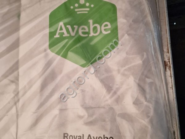 Крахмал картофельный AVEBE Perfectabind M