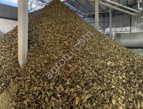 Жмых рапсовый высокопротеиновый