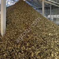 Жмых рапсовый высокопротеиновый