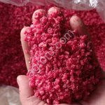 Малина Грис