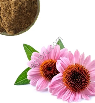 Эхинацеи экстракт сухой