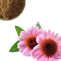 Эхинацеи экстракт сухой