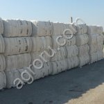 Хлопок, хлопковое волокно