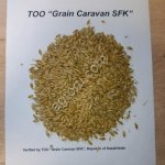 Feed Barley, Kazakhstan