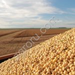 Cоя с мониторингом, соевые бобы