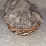 Шерсть овечья мытая