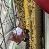 Картофель