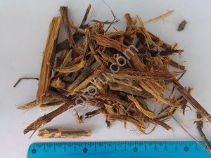 Корень солодки