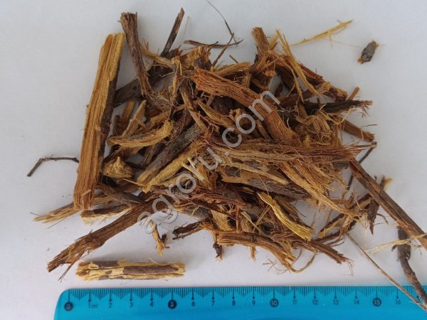 Корень солодки