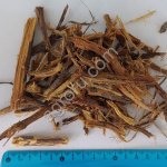 Корень солодки