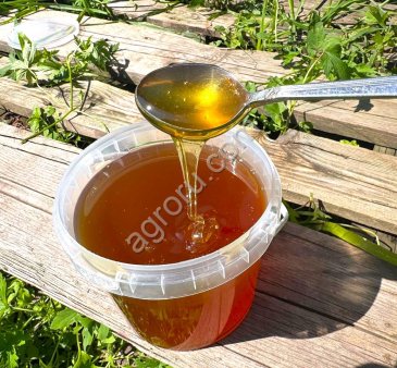 Алтайский мёд с первоцветов