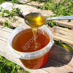 Алтайский мёд с первоцветов