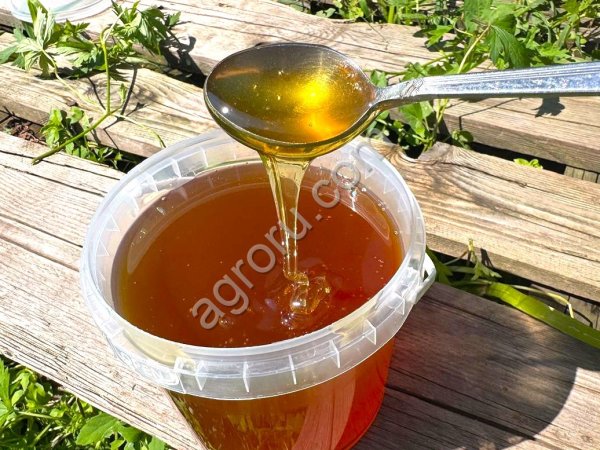 Алтайский мёд с первоцветов