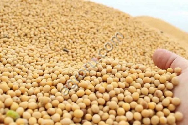 Соя урожая 2025 г. от производителя!