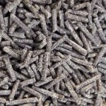 Жом свекловичный