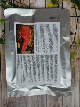 Экстракт гриба Антродия камфорная (Antrodia camphorate)