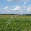земля сельхозназначения 97,44 ГА