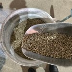 Комбикорма от производителя