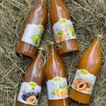 Нектары МОГОХ из натуральных фруктов