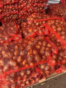 Картофель Гала