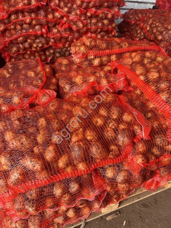 Картофель Гала