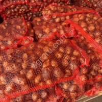 Картофель Гала