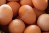Яйцо куриное