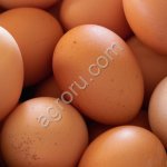 Яйцо куриное