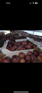 Яблоки с доставкой