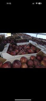 Яблоки с доставкой