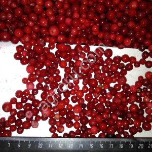 Брусника дикая замороженная (РФ, электр. очистка)