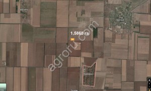 дом в Крыму и земля 457сот
