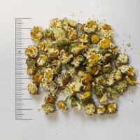 Ромашка цвет