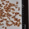 Яблоки сушеные резаные, калибр 5-7 мм