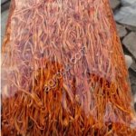 Кордицепс сушеный