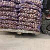 Картофель продовольственный новый урожай сорт Гала