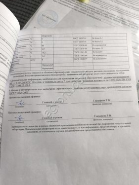 Райграс однолетний
