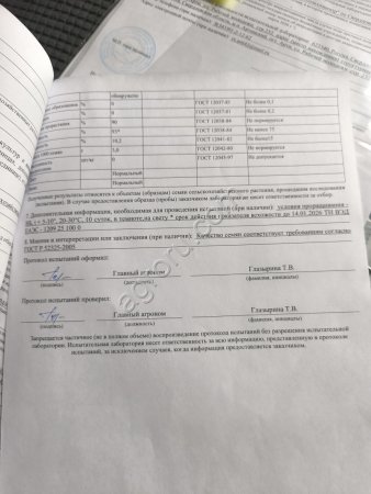 Райграс однолетний