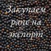 Рапс на экспорт