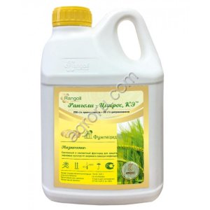 Ранголи-Ципрос, КЭ