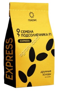 Експресс СМК460 (Пионер25)