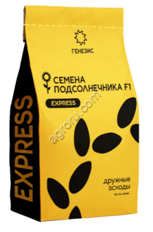 Експресс СМК460 (Пионер25)