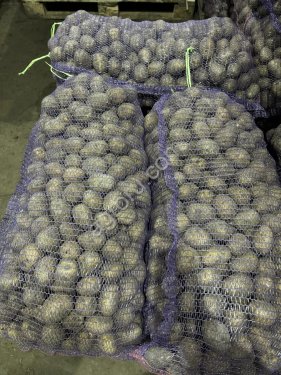 Семенной картофель напрямую с хранилища ТПК в Омске