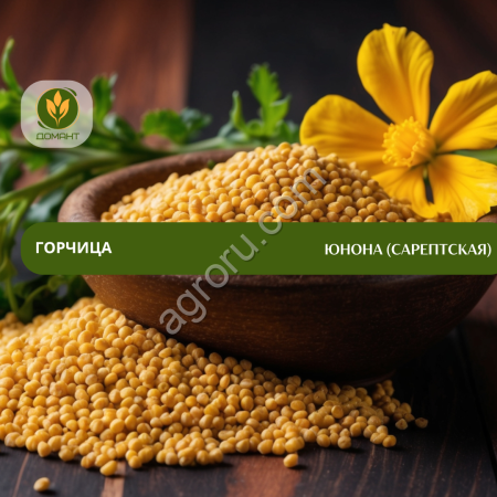 Семена горчицы Юнона (сарептская)
