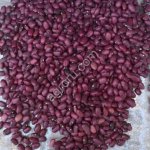 Фасоль от производителя.