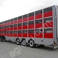 Услуги перевозок скота. Скотовозы