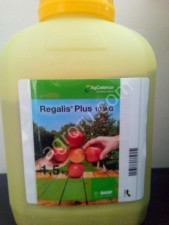 Regalis Plus 10 WG