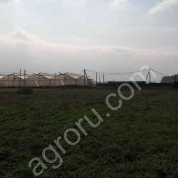 Автоматизированное тепличное хозяйство