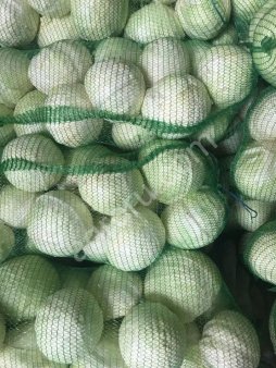 Капуста Белокочанная