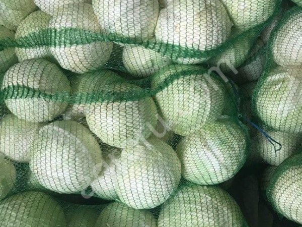 Капуста Белокочанная